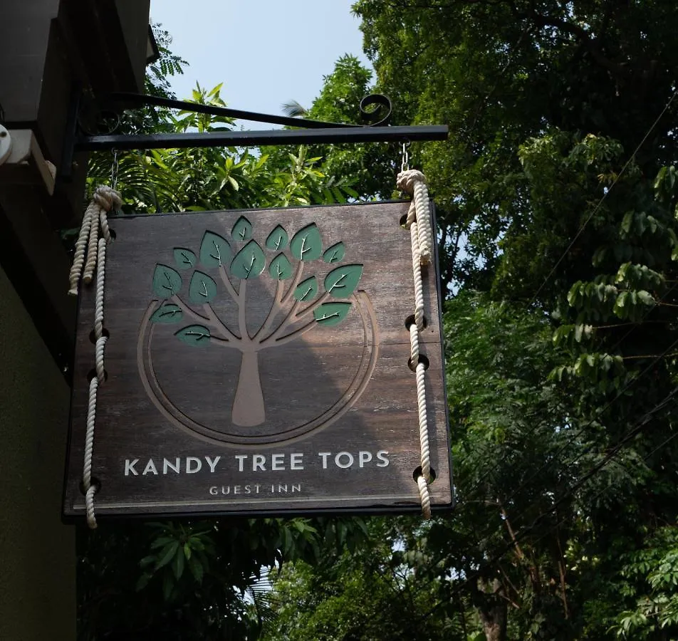 Guest house Kandy Tree Tops Hotel