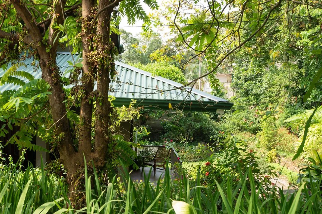 Kandy Tree Tops Hotel Guest house