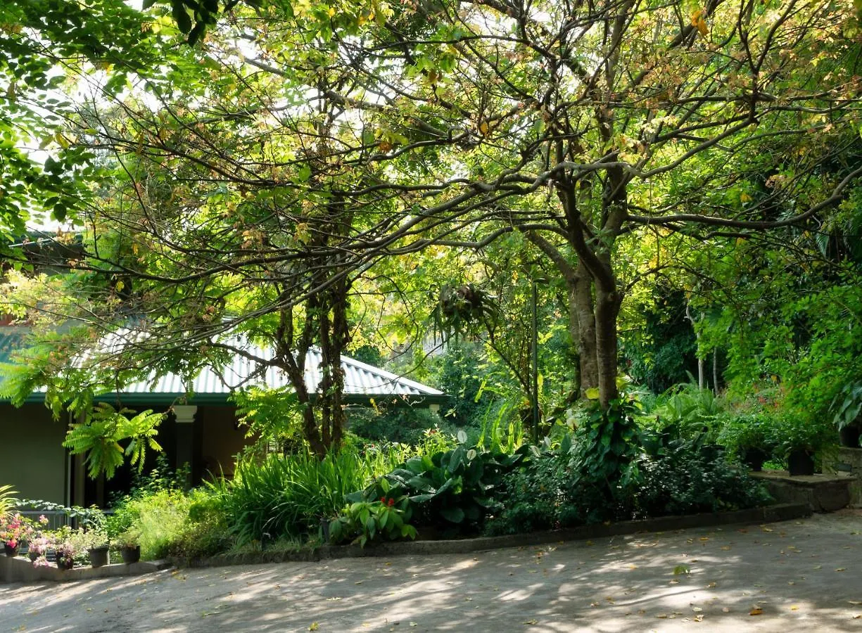 Gasthof Kandy Tree Tops