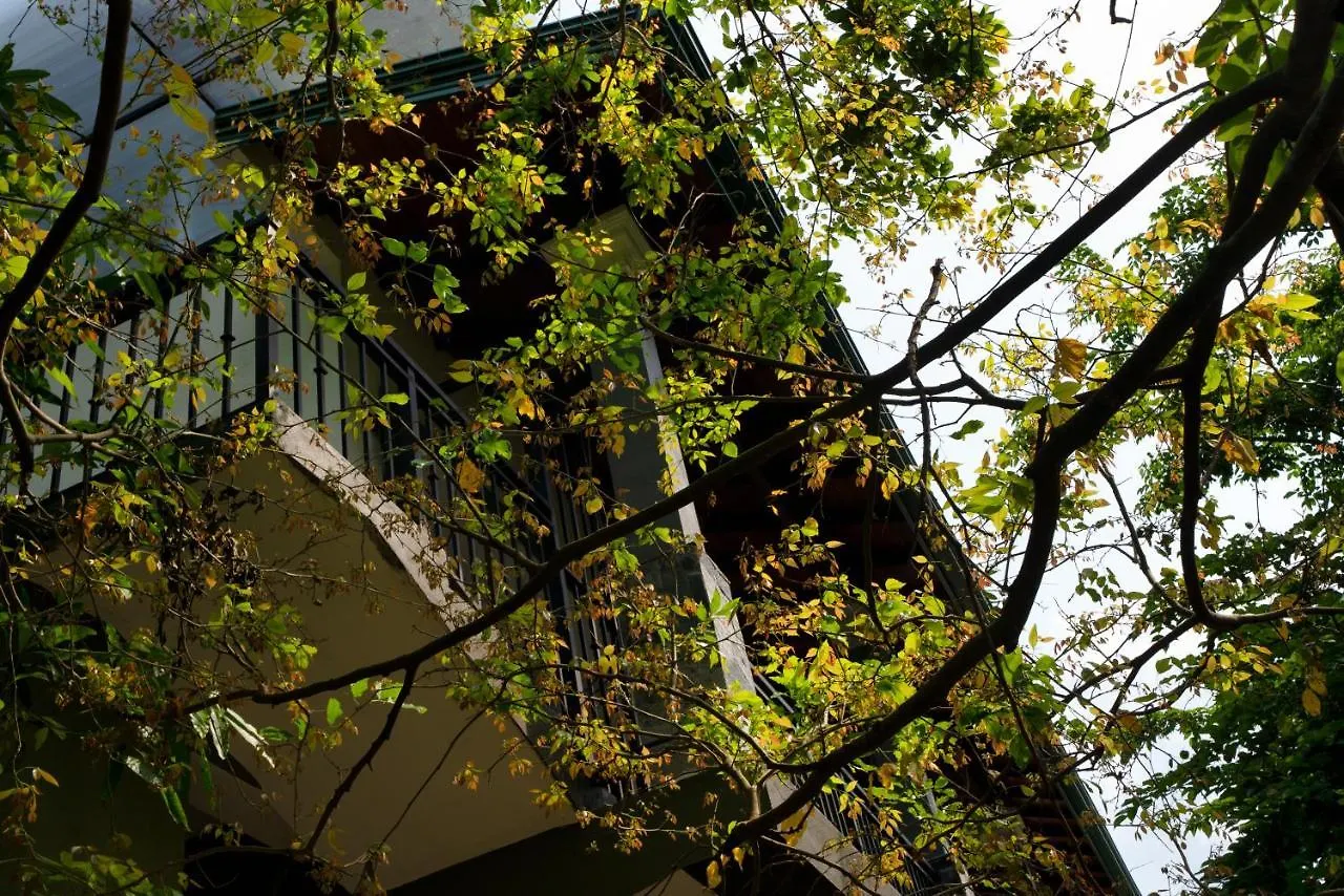 Gasthof Kandy Tree Tops