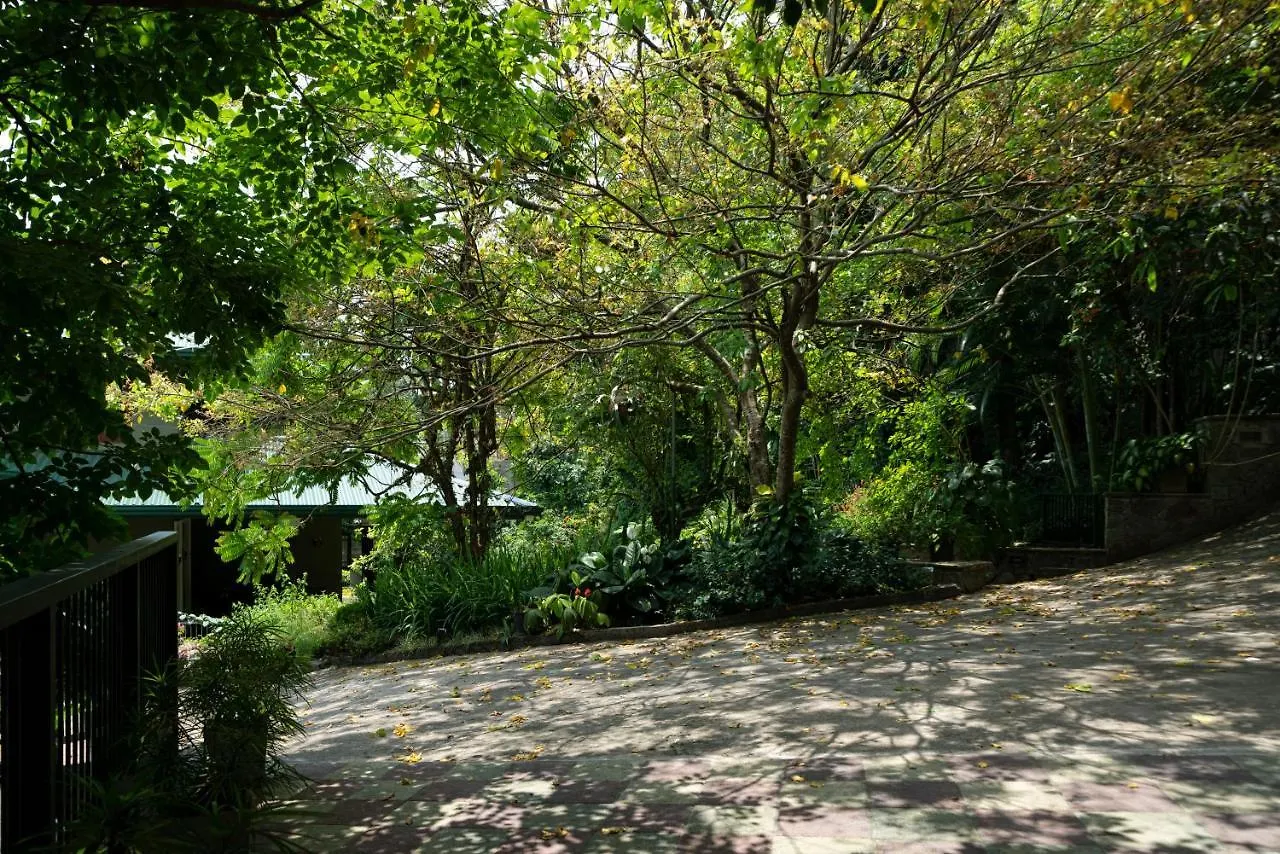 Kandy Tree Tops